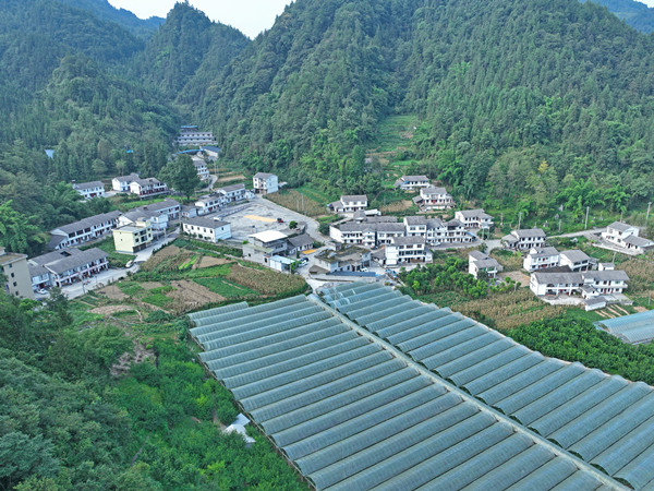重庆彭水：庭院经济美了乡村富了村民_fororder_1