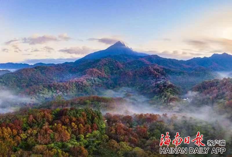 首批国家公园总体规划发布 明确海南热带雨林国家公园未来建设“时间表”和“任务图”