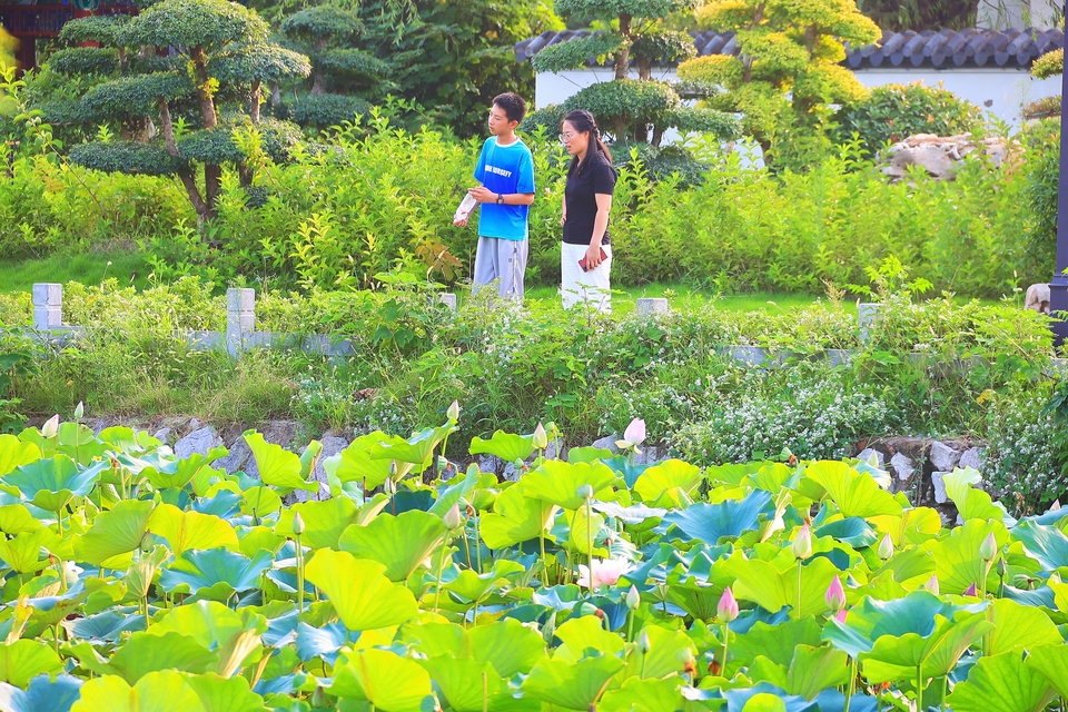 铁塔公园游玩赏景