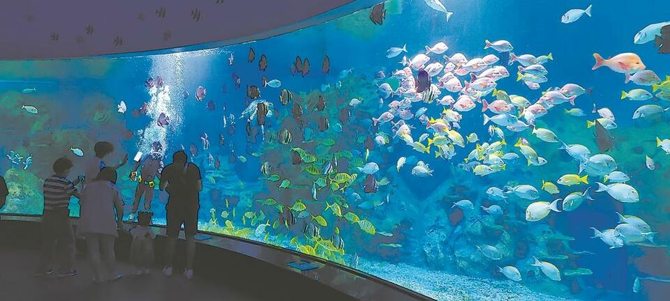 从“一号滨海风景道”建设看福建交旅融合发展新趋势_fororder_d3a37735-381d-476d-b5b2-19bfbcfc0c18