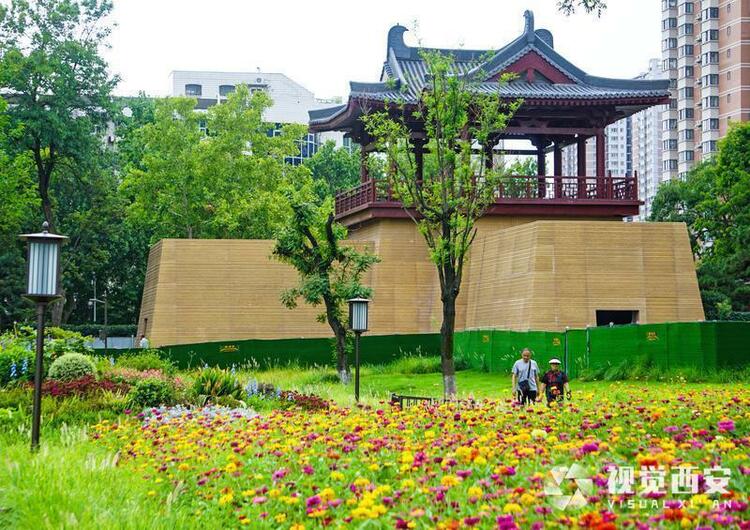 打卡兴庆宫公园花海