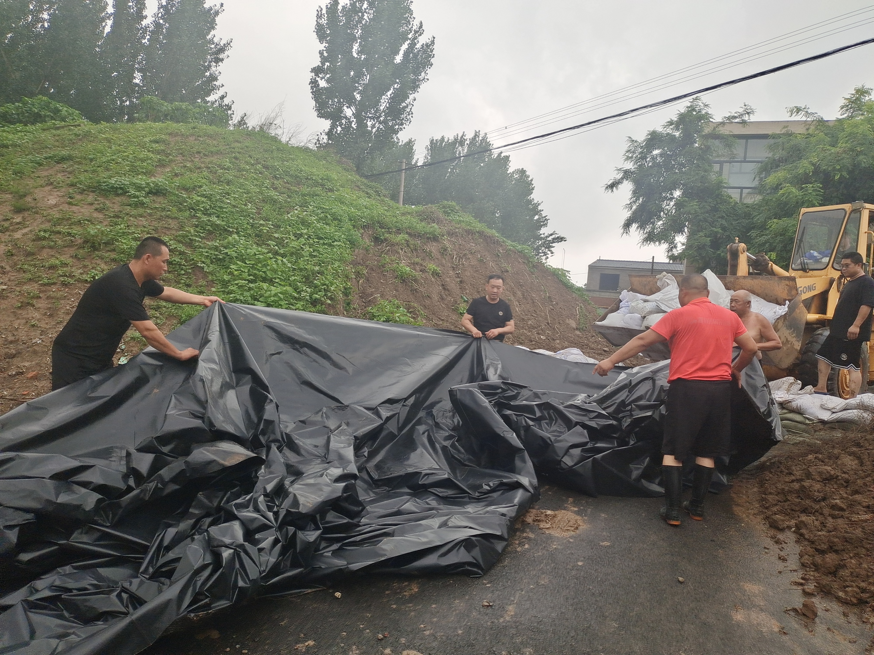 保定市徐水区师立军：党员干部要做百姓的“主心骨”_fororder_防汛紧要关头，党员群众迅速封堵漕河穿堤路口 摄影 周楠