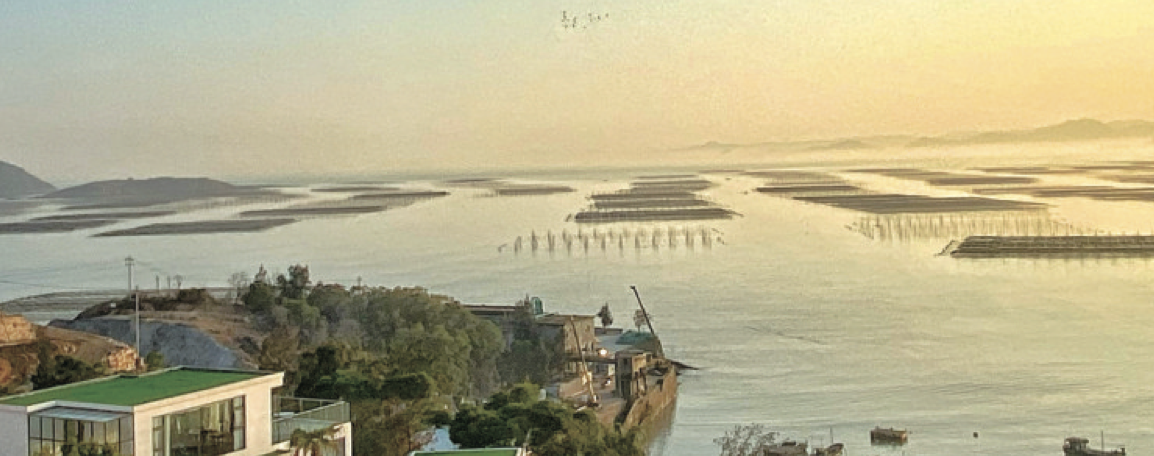 宁德：一角一隅皆是景 美丽乡村入画来_fororder_WX20230829-092538@2x