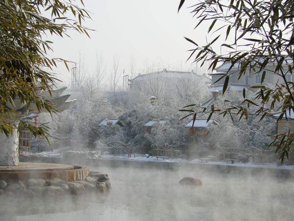 图片默认标题