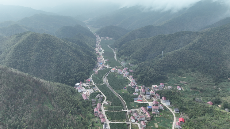 湖南新邵水蜜桃错峰上市 大山深处结出“致富果”_fororder_图片1