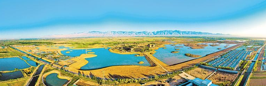 银川市西夏区：犀牛湖焕发生机_fororder_截屏2023-08-31 10.44.42