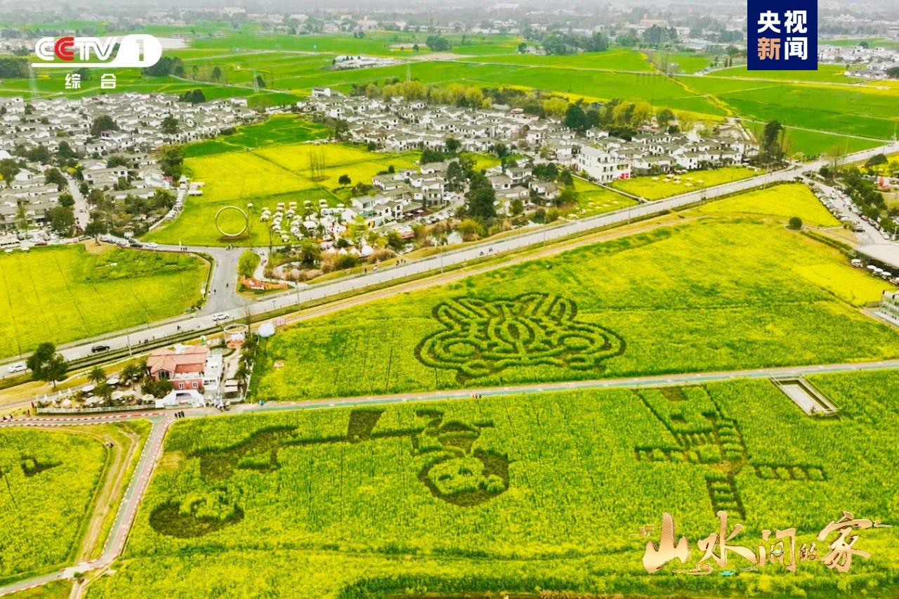 （转载）黑土地上锄野豆，天府粮仓迎丰收，《山水间的家》解锁“丰”景“密码”