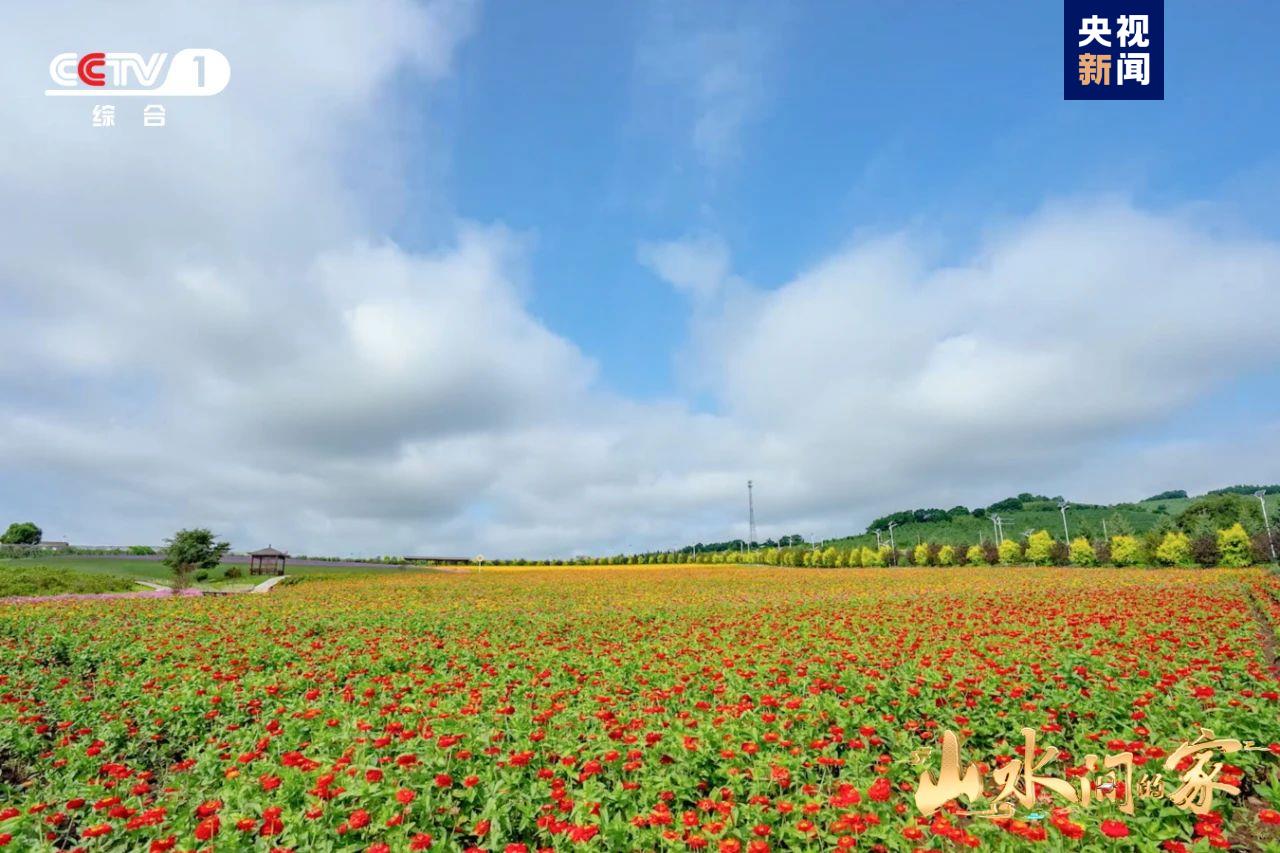 （转载）黑土地上锄野豆，天府粮仓迎丰收，《山水间的家》解锁“丰”景“密码”