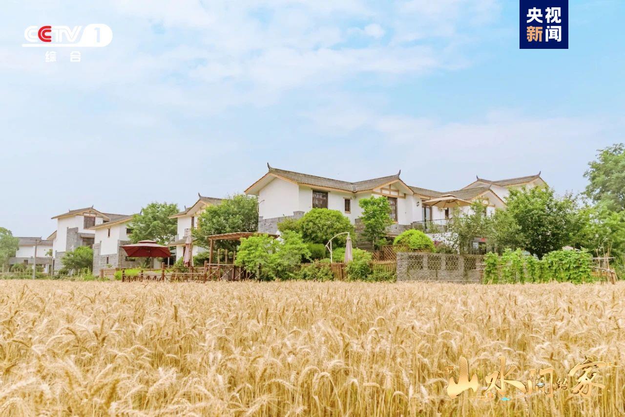 （转载）黑土地上锄野豆，天府粮仓迎丰收，《山水间的家》解锁“丰”景“密码”