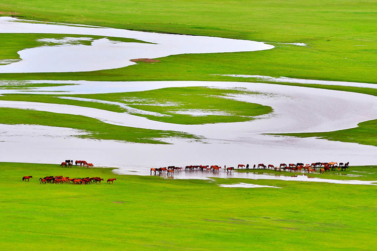 沉浸式玩转呼伦贝尔大草原·莫尔格勒河景区_fororder_8d1f02142f5556d6f1f38a5e58908e3d-sz_145041