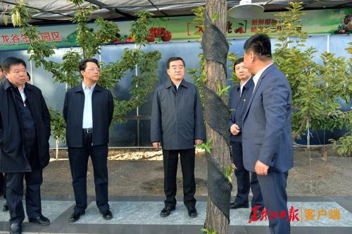 张庆伟在双鸭山七台河鸡西调研