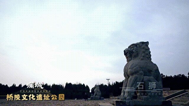 打卡渭南③：唐桥陵：石刻艺术甲天下_fororder_桥陵石狮