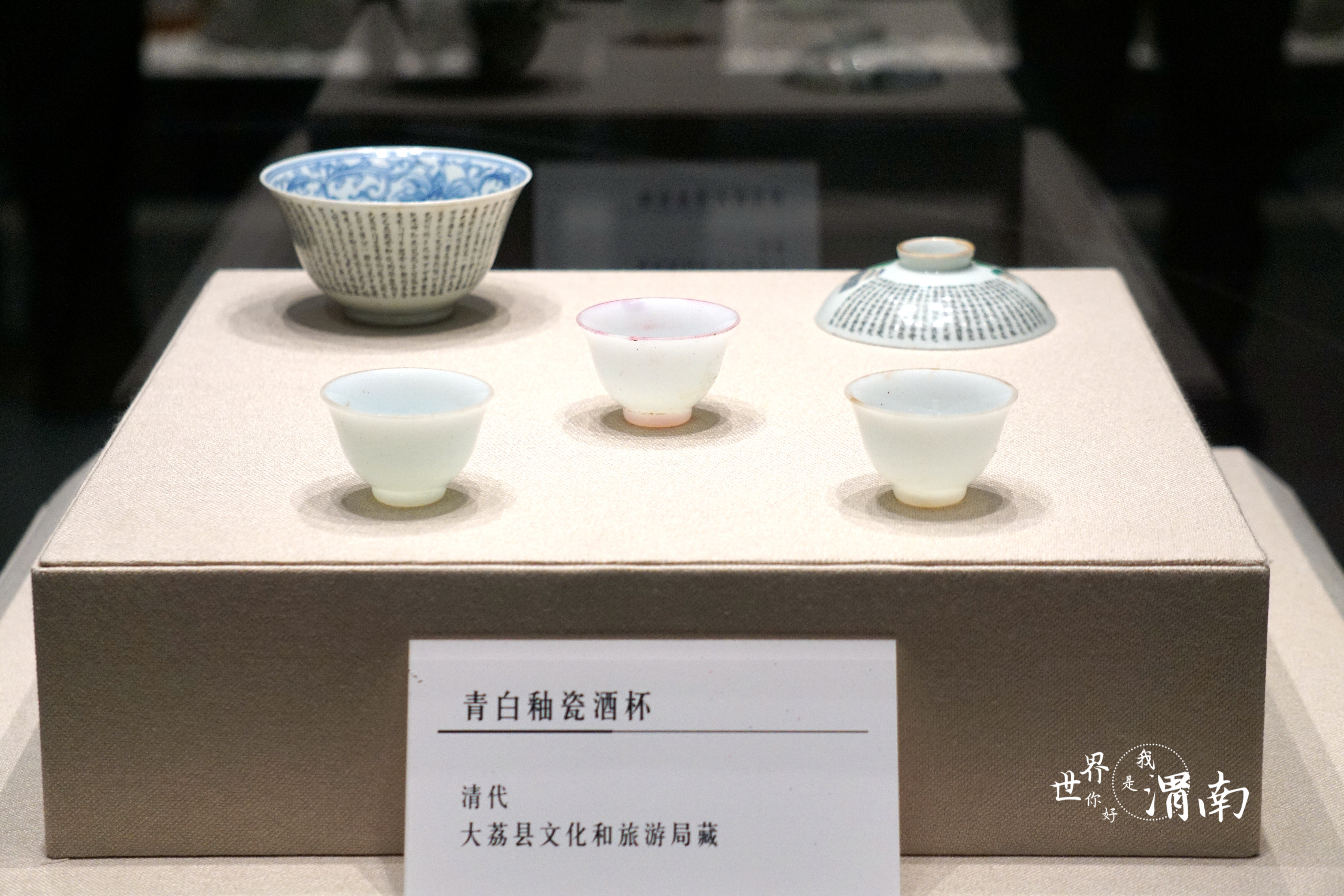 图集 | 风从海上来 渭南市博物馆首个书画类文物展开展_fororder_DSC09971