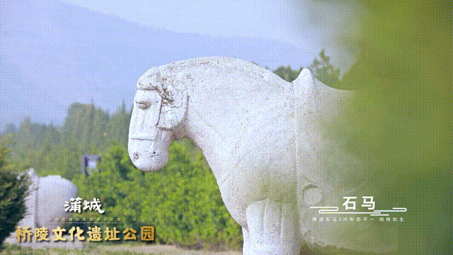 打卡渭南③：唐桥陵：石刻艺术甲天下_fororder_石马