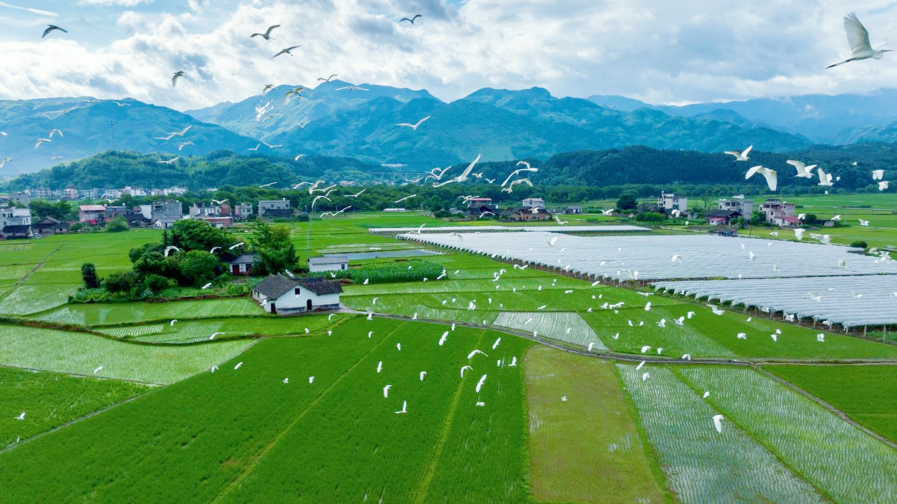 湖南新宁：生旅融合绘出“金山银山”_fororder_图片1