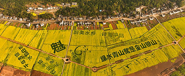 第四届秦巴农洽会将于9月14日至16日在巴中举行_fororder_1.-两山理念是航向，现代农业开新局。（平昌县白衣镇--主图1）张学金摄DJI_0610--