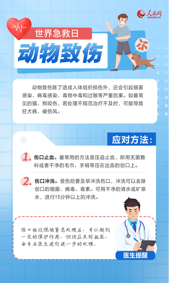 世界急救日：这些常用急救知识请收藏