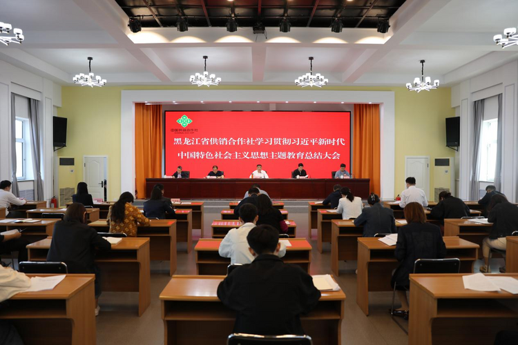 黑龙江省供销合作社召开学习贯彻习近平新时代中国特色社会主义思想主题教育总结大会_fororder_图片2
