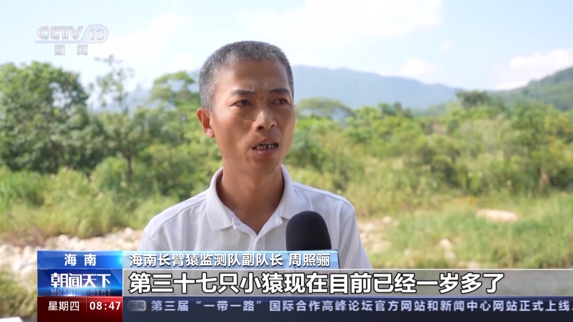 海南热带雨林国家公园：长臂猿种群数量稳步增长 中华穿山甲罕见亮相