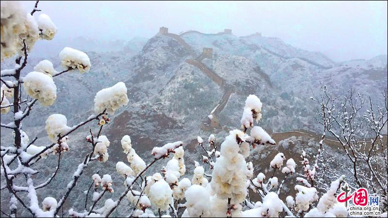 金山岭长城，一场杏花春雪如坠入画中仙境