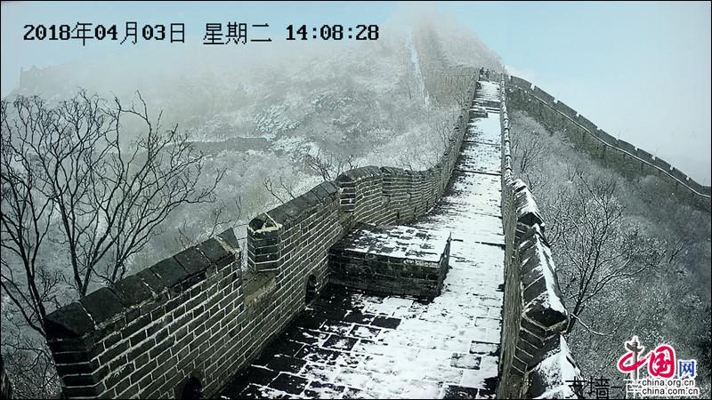 金山岭长城，一场杏花春雪如坠入画中仙境