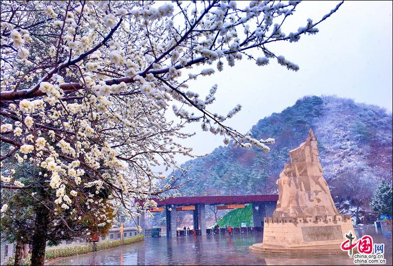 金山岭长城，一场杏花春雪如坠入画中仙境