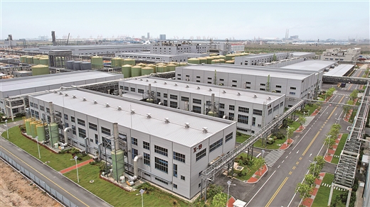 钦州构建石化产业高质量发展新格局 聚力千亿级产业链条 支撑万亿级产业集群