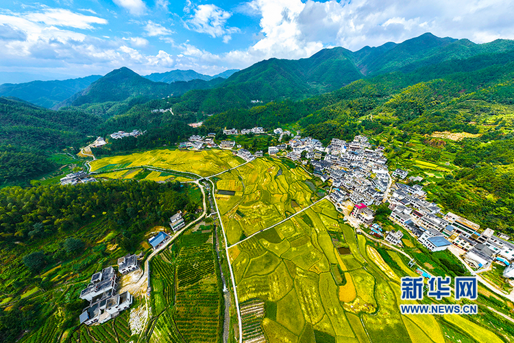 湖南常宁：高山梯田喜丰收_fororder_6666