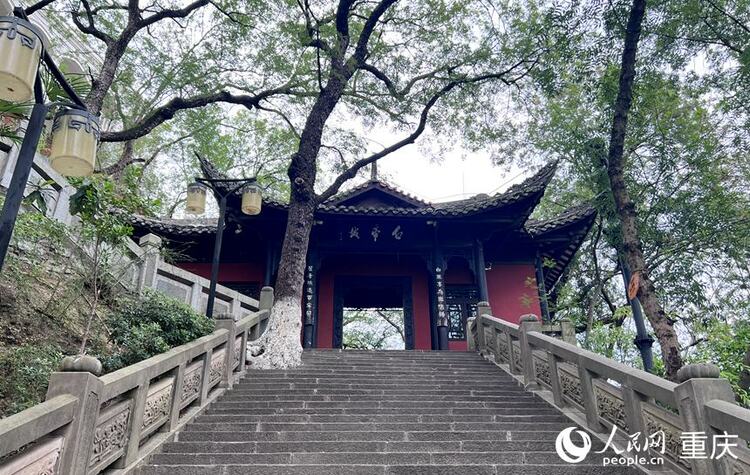 重庆：保护长江文物 传承巴蜀文化