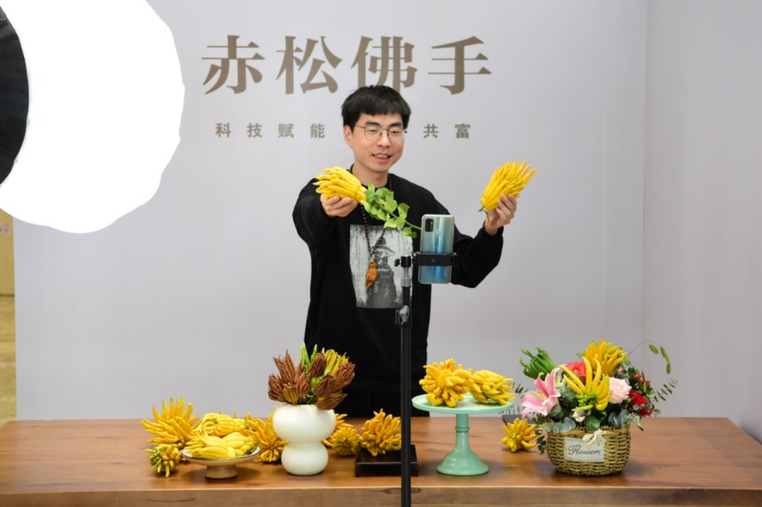 金华赤松佛手文化节将于十月下旬在金华金东举行_fororder_55d7dee67baaba2510b1cad5118d9658