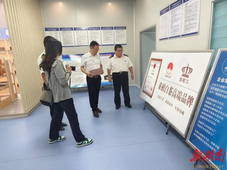 走出国门，“飘香”世界！湖南“桑植白茶”实现首笔出口订单
