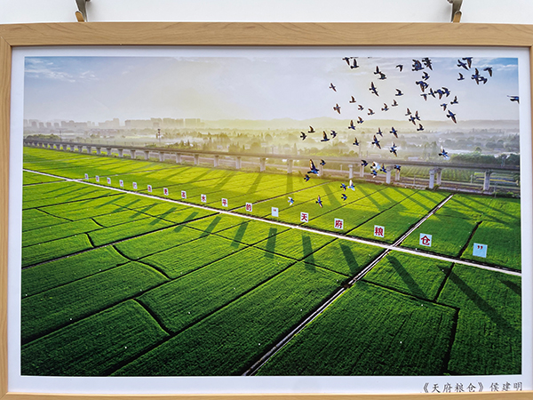 礼赞丰收 致敬农民 “天府好‘丰’景”书画摄影作品展走进永丰村_fororder_摄影作品《天府粮仓》