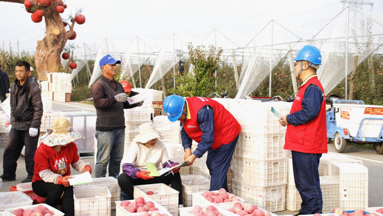 国网洛川供电公司：做好“电管家” 保障苹果冷库“冻”力十足_fororder_图片2