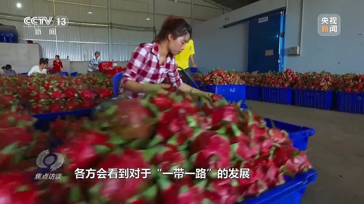 焦点访谈丨​​​​​​​高质量共建“一带一路”