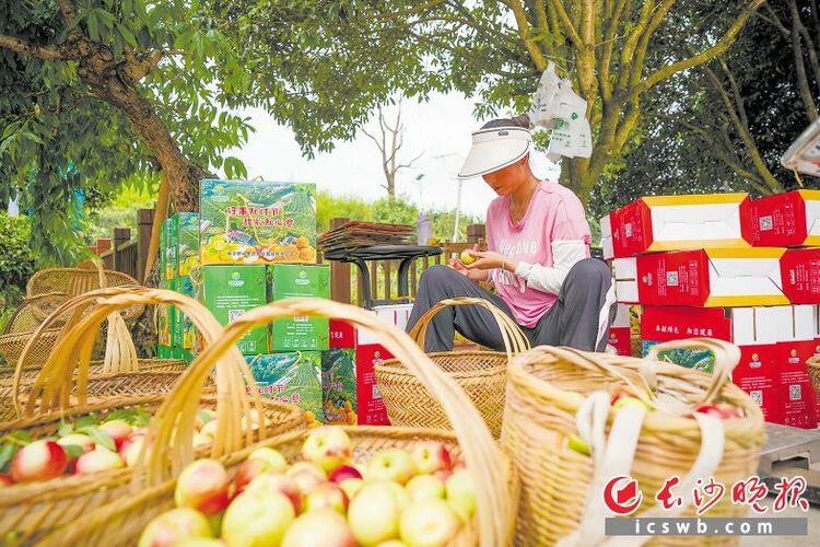 瓜果满园粮满仓_fororder_aa2fb137d589bb9b7f762b303c571a3fwatermark1650f40c652de8
