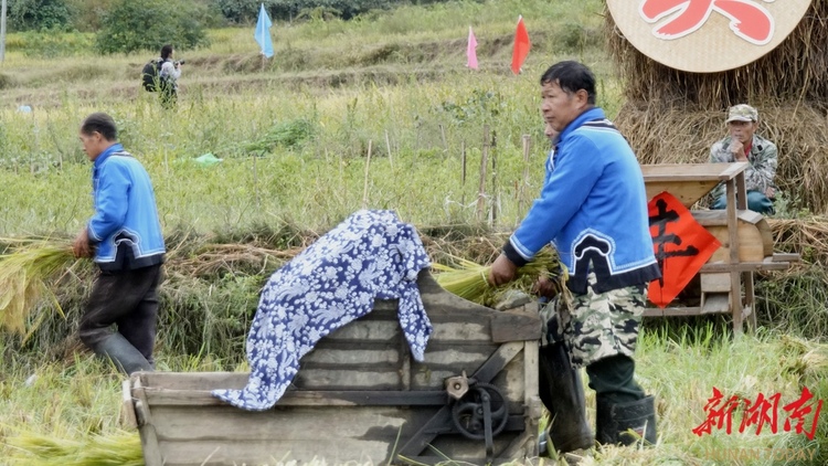 永顺县举行土家族晒龙谷暨农民丰收节_fororder_3333
