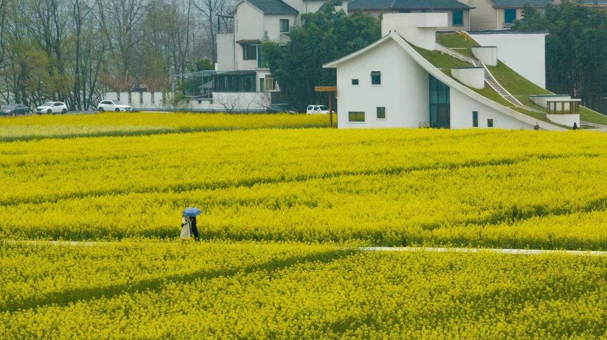 Zhejiang Tonglu: The Most Beautiful County Welcomes Its 'Highlight Moments'_fororder_桐庐1