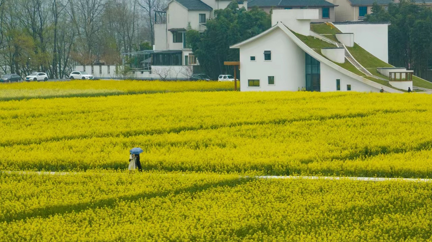 Zhejiang Tonglu: The Most Beautiful County Welcomes Its 'Highlight Moments'_fororder_桐庐1