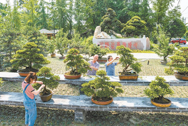 （转载）兴品牌强产业 成都花木热销全球_fororder_未标题-1