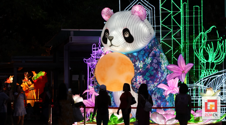 （转载）“川灯耀香江”中秋国庆灯会香港亮灯 川港特色灯组荣登“打卡顶流”