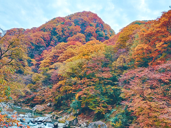第二十一届四川光雾山国际红叶节开幕_fororder_大小兰沟美景