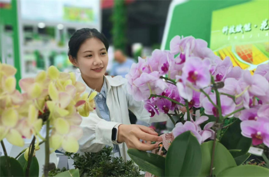 第十届江苏沭阳花木节开幕_fororder_图片 3