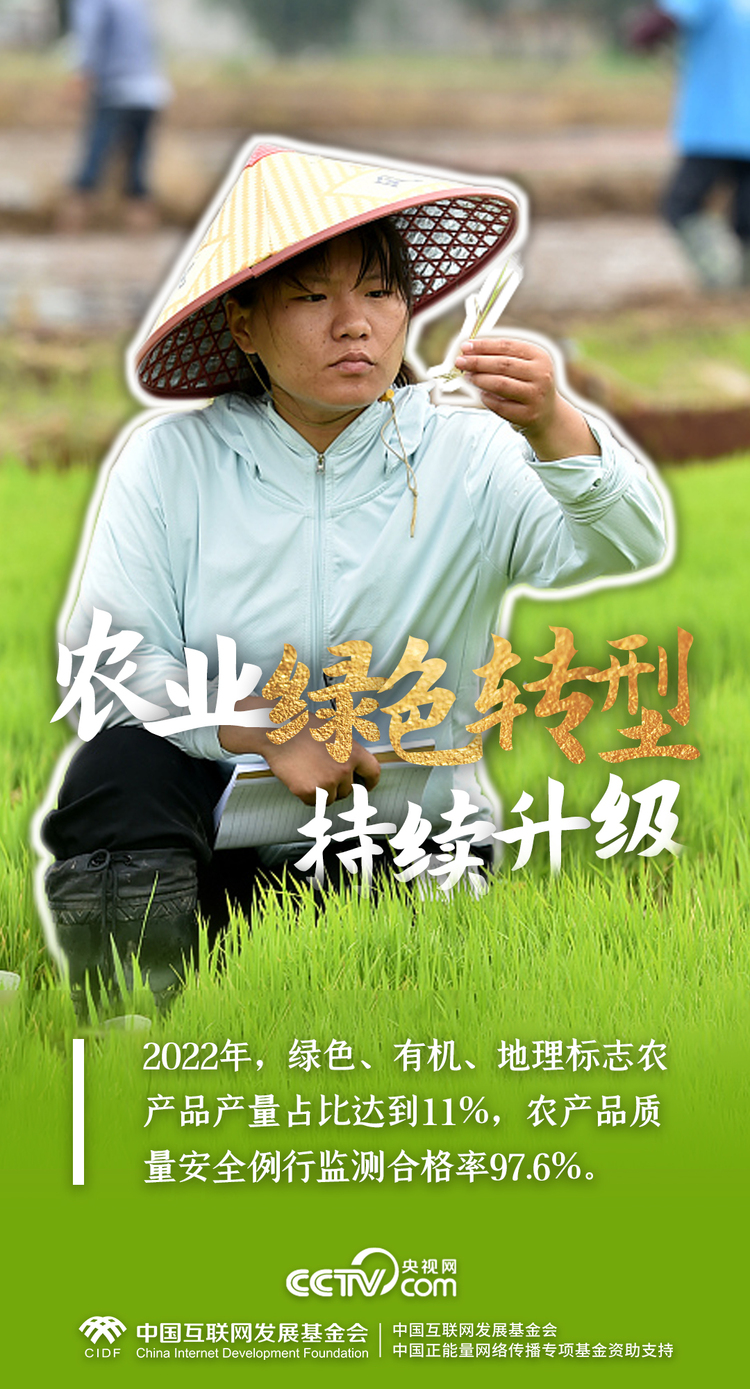 最美新农人｜一组数据，解码端稳“中国饭碗”的乡村振兴生力军