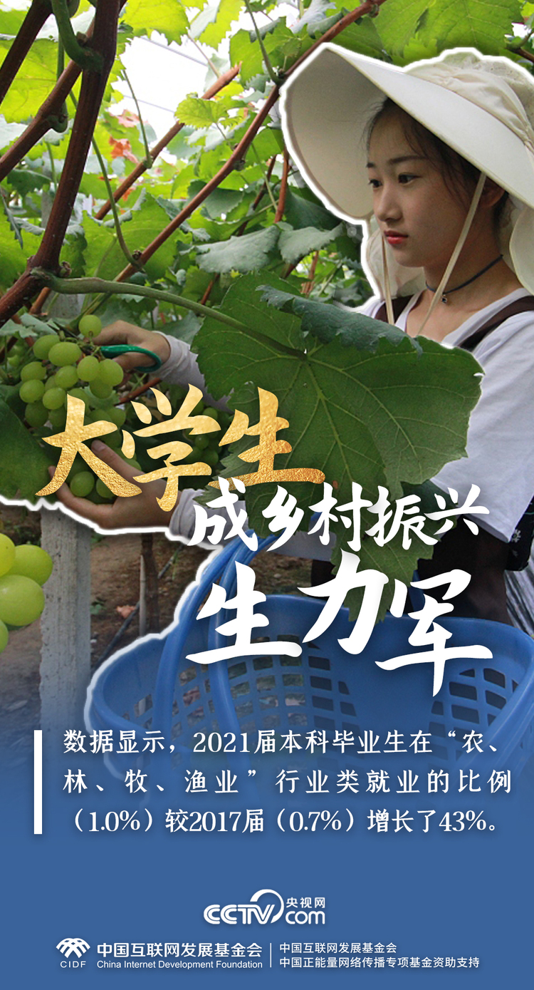 最美新农人｜一组数据，解码端稳“中国饭碗”的乡村振兴生力军