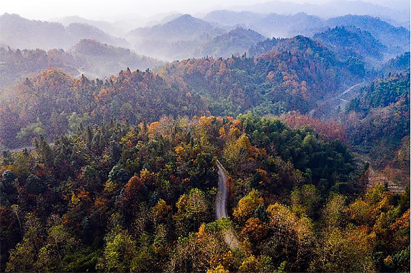 “关注龙门山、龙泉山森林·生态活动”正式启动_fororder_未标题-2