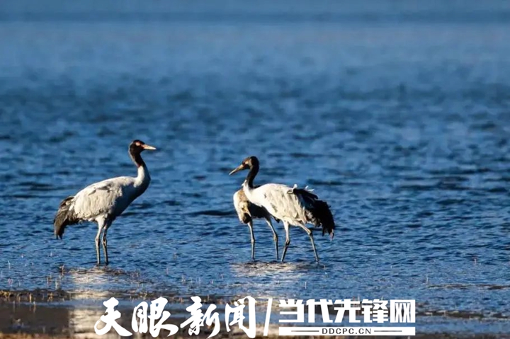 贵州草海国家级自然保护区总体规划获国家林草局批复