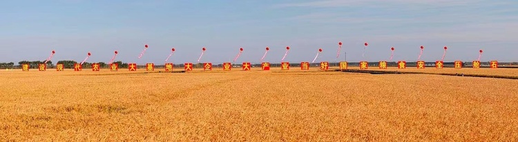 粮仓好“丰”景丨金秋十月，赴一场丰收之约