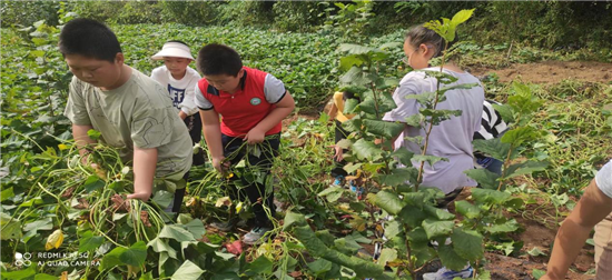 沈阳浑南区王滨希望学校劳动实践课程助力学生成长_fororder_教育劳动课1