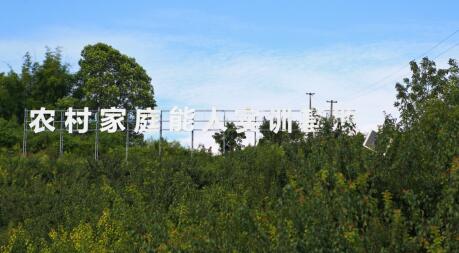 （转载）四川省乐山市五通桥区：农业园区“党旗红” 乡村治理“硕果丰”