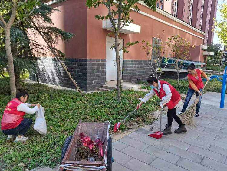 保定莲池区：整治人居环境 扮靓魅力莲池_fororder_微信图片_20231101104729